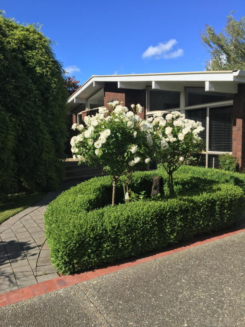 Hotel Quiet Boutique Generous Breakfast Palmerston North Esterno foto